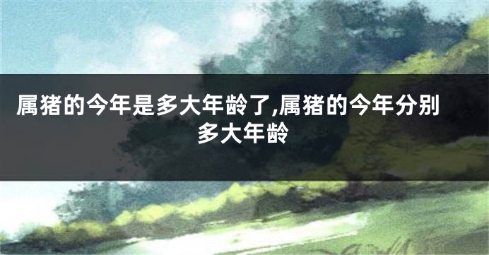 属猪的今年是多大年龄了,属猪的今年分别多大年龄
