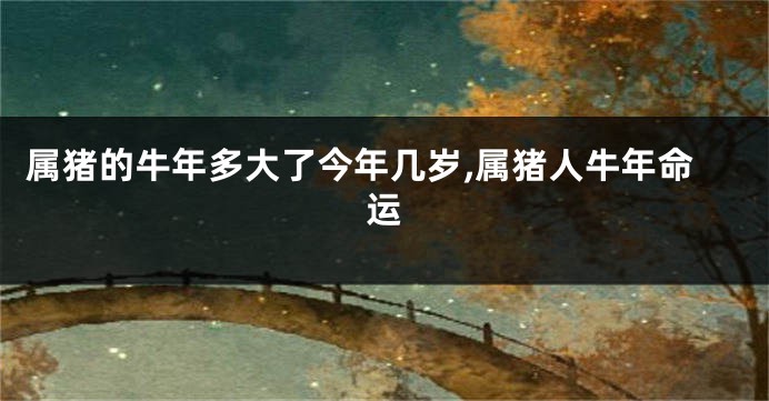 属猪的牛年多大了今年几岁,属猪人牛年命运
