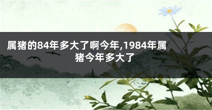 属猪的84年多大了啊今年,1984年属猪今年多大了