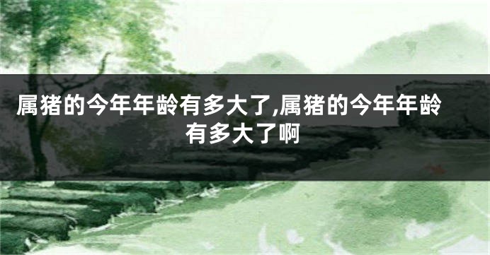 属猪的今年年龄有多大了,属猪的今年年龄有多大了啊