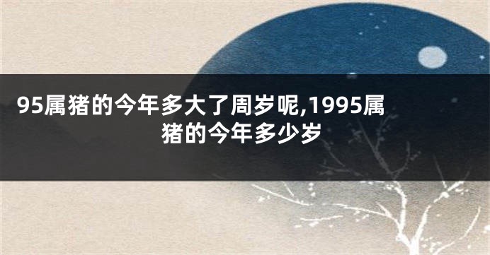 95属猪的今年多大了周岁呢,1995属猪的今年多少岁