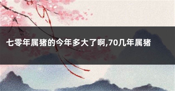 七零年属猪的今年多大了啊,70几年属猪