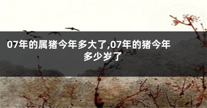 07年的属猪今年多大了,07年的猪今年多少岁了