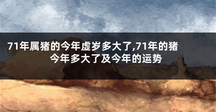 71年属猪的今年虚岁多大了,71年的猪今年多大了及今年的运势
