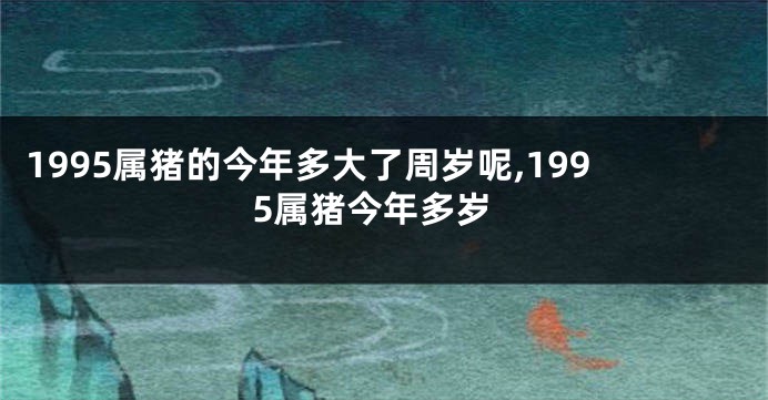 1995属猪的今年多大了周岁呢,1995属猪今年多岁