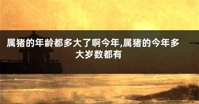 属猪的年龄都多大了啊今年,属猪的今年多大岁数都有