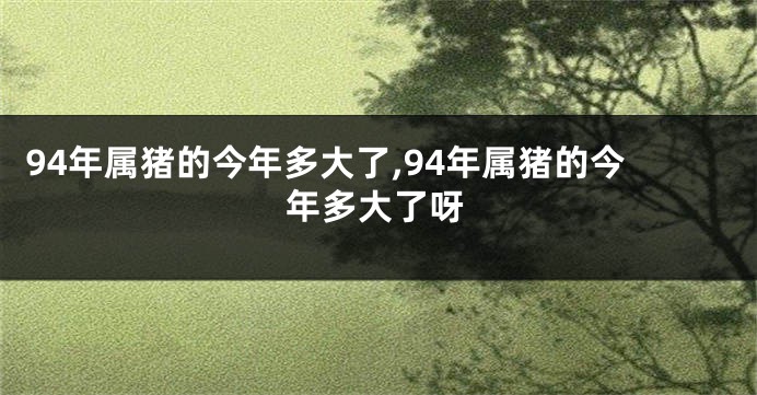 94年属猪的今年多大了,94年属猪的今年多大了呀