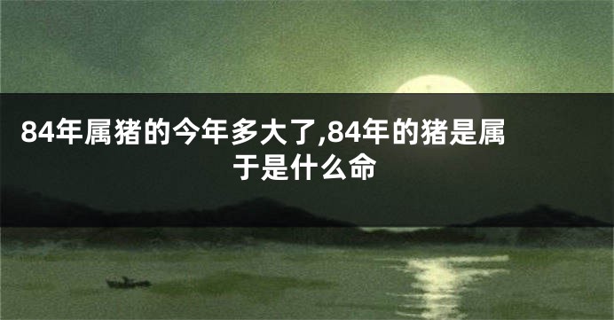 84年属猪的今年多大了,84年的猪是属于是什么命