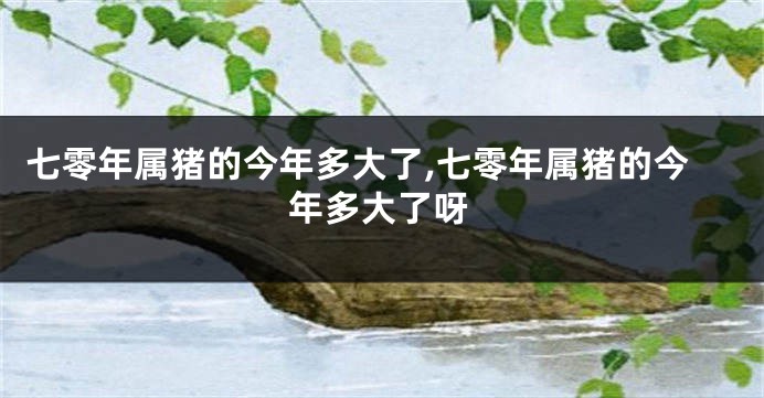 七零年属猪的今年多大了,七零年属猪的今年多大了呀