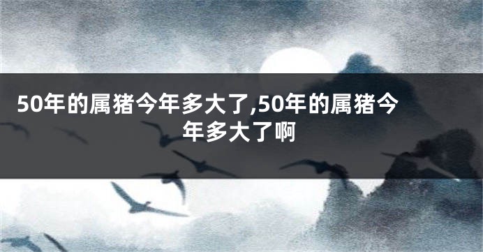 50年的属猪今年多大了,50年的属猪今年多大了啊