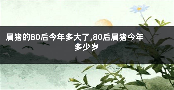 属猪的80后今年多大了,80后属猪今年多少岁
