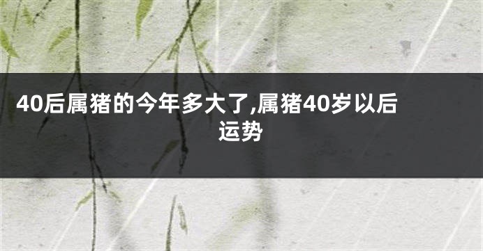40后属猪的今年多大了,属猪40岁以后运势