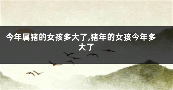 今年属猪的女孩多大了,猪年的女孩今年多大了