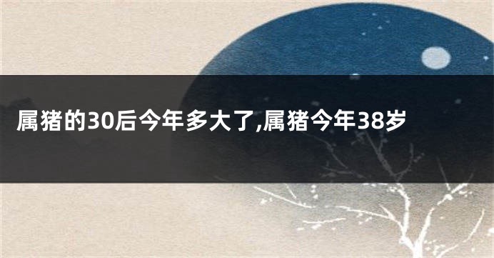 属猪的30后今年多大了,属猪今年38岁