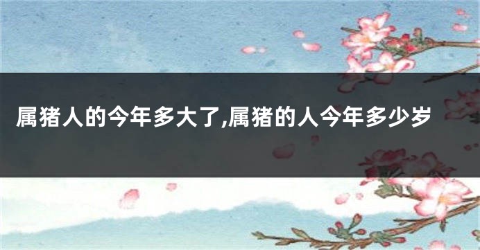 属猪人的今年多大了,属猪的人今年多少岁