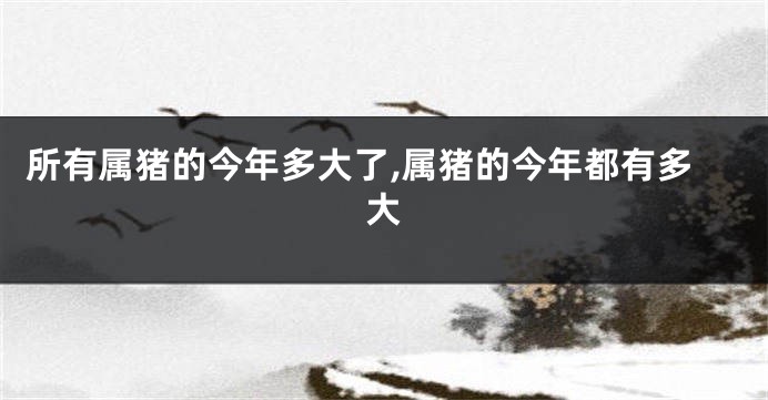 所有属猪的今年多大了,属猪的今年都有多大