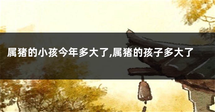属猪的小孩今年多大了,属猪的孩子多大了