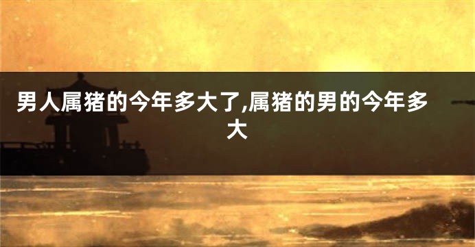 男人属猪的今年多大了,属猪的男的今年多大