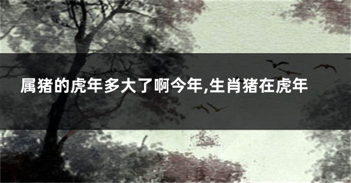 属猪的虎年多大了啊今年,生肖猪在虎年