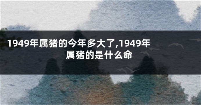 1949年属猪的今年多大了,1949年属猪的是什么命
