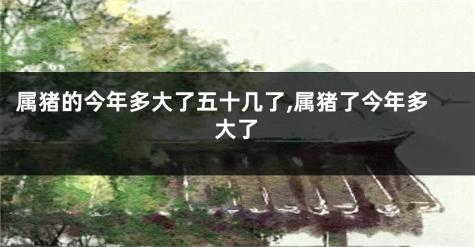 属猪的今年多大了五十几了,属猪了今年多大了