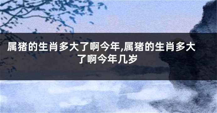 属猪的生肖多大了啊今年,属猪的生肖多大了啊今年几岁