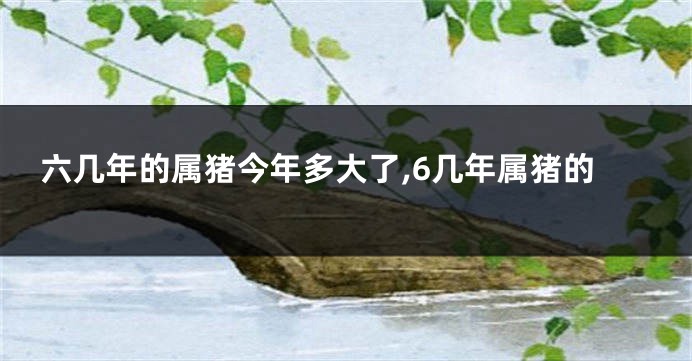 六几年的属猪今年多大了,6几年属猪的