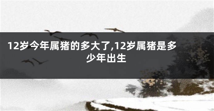 12岁今年属猪的多大了,12岁属猪是多少年出生