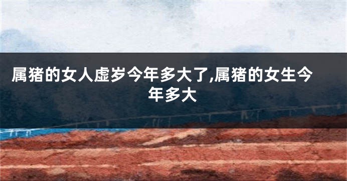 属猪的女人虚岁今年多大了,属猪的女生今年多大