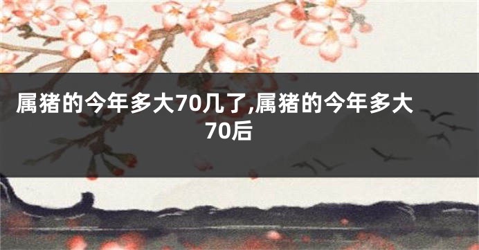 属猪的今年多大70几了,属猪的今年多大70后