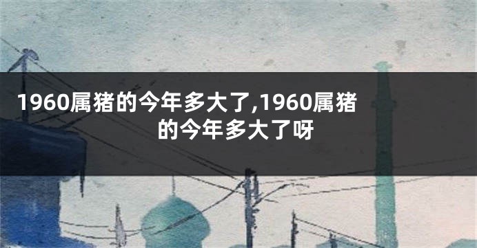 1960属猪的今年多大了,1960属猪的今年多大了呀