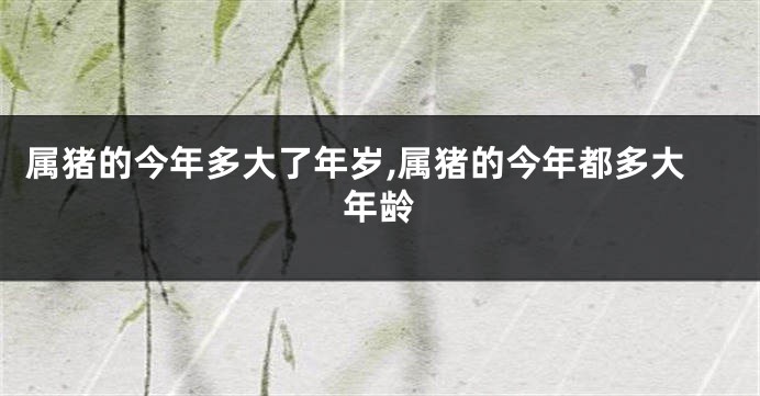 属猪的今年多大了年岁,属猪的今年都多大年龄
