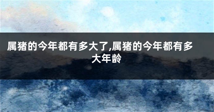 属猪的今年都有多大了,属猪的今年都有多大年龄