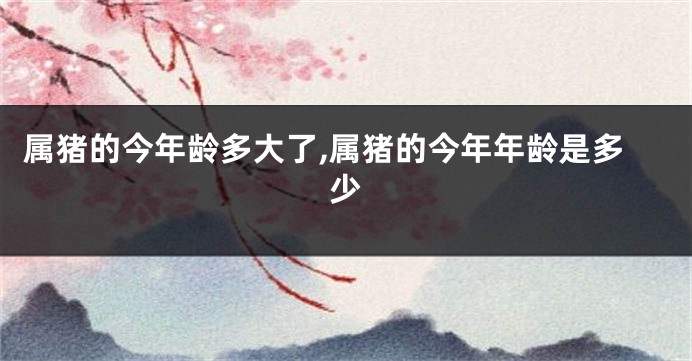 属猪的今年龄多大了,属猪的今年年龄是多少