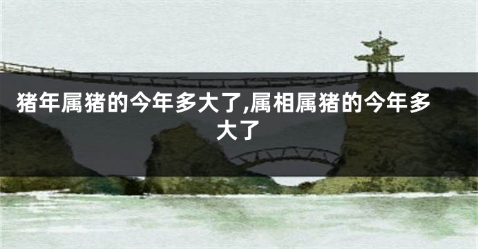 猪年属猪的今年多大了,属相属猪的今年多大了