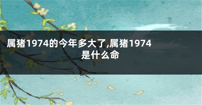 属猪1974的今年多大了,属猪1974是什么命