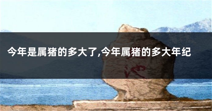 今年是属猪的多大了,今年属猪的多大年纪