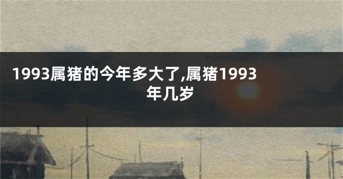 1993属猪的今年多大了,属猪1993年几岁