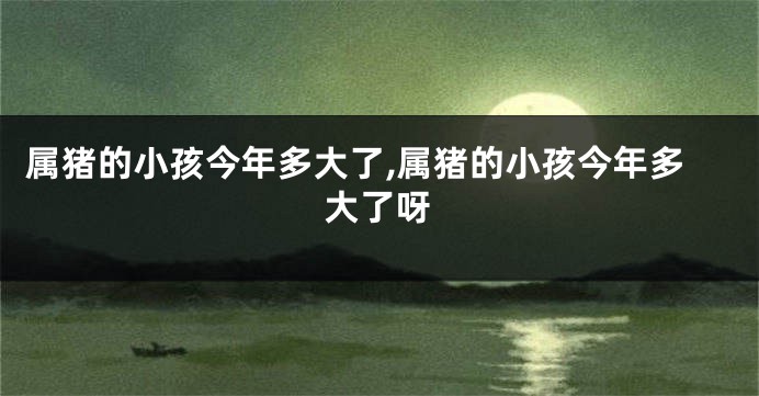 属猪的小孩今年多大了,属猪的小孩今年多大了呀