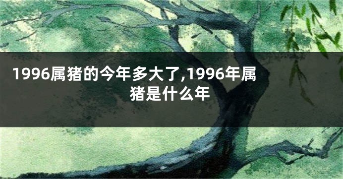 1996属猪的今年多大了,1996年属猪是什么年
