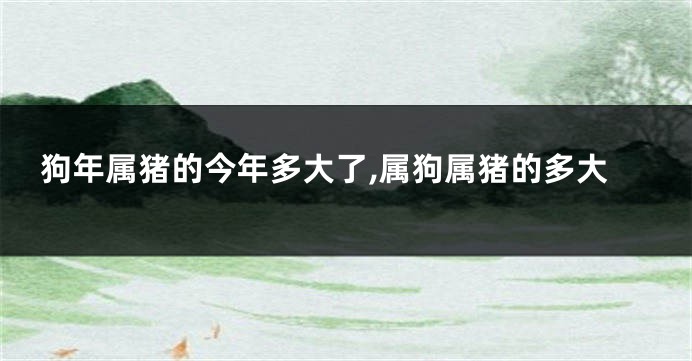 狗年属猪的今年多大了,属狗属猪的多大