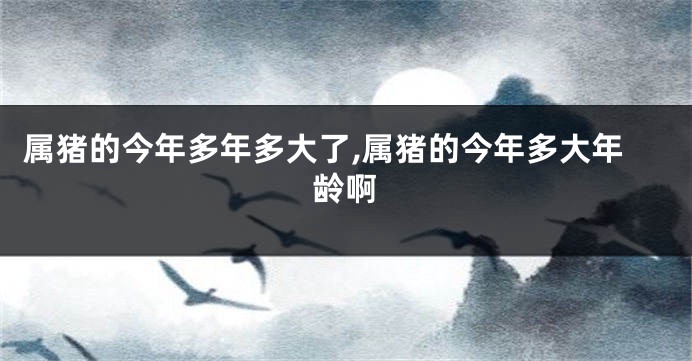 属猪的今年多年多大了,属猪的今年多大年龄啊
