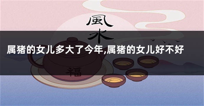 属猪的女儿多大了今年,属猪的女儿好不好
