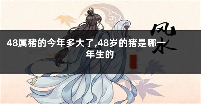48属猪的今年多大了,48岁的猪是哪一年生的