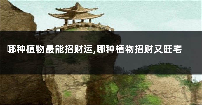 哪种植物最能招财运,哪种植物招财又旺宅