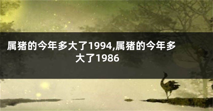 属猪的今年多大了1994,属猪的今年多大了1986