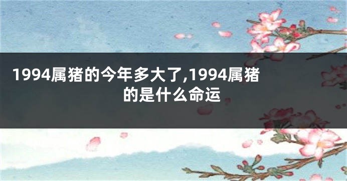 1994属猪的今年多大了,1994属猪的是什么命运