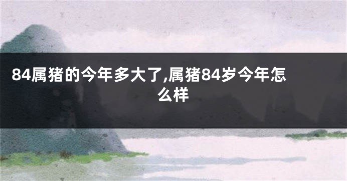 84属猪的今年多大了,属猪84岁今年怎么样