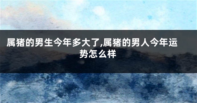 属猪的男生今年多大了,属猪的男人今年运势怎么样