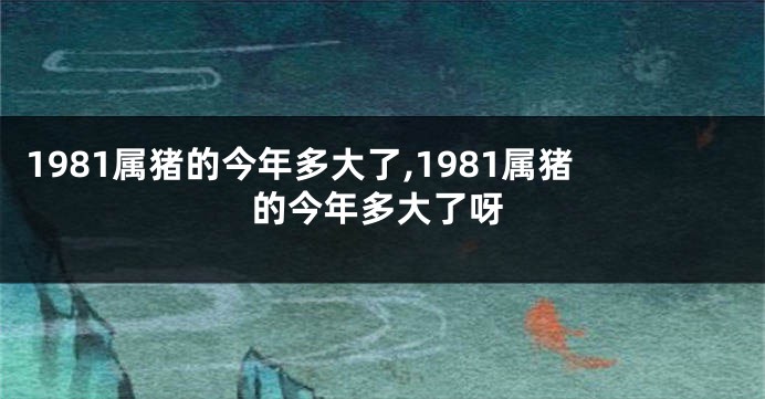 1981属猪的今年多大了,1981属猪的今年多大了呀